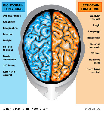 Wieder gehen lernen mit Hirnverletzung und Paresen, das menschliche gehirn und seine funktionen, definiert nach rechts und links